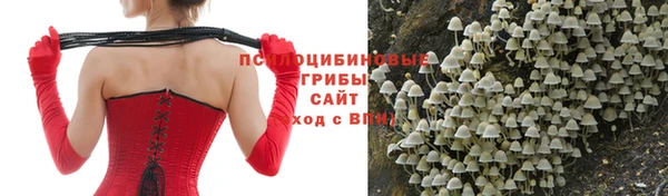 мет Алексин