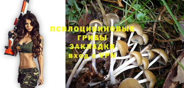 стафф Осташков