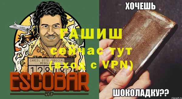 мет Алексин