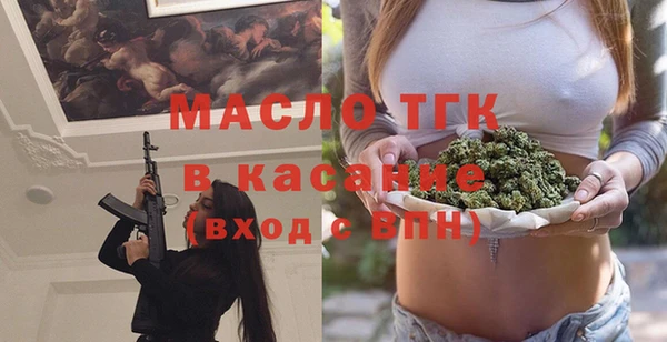 мет Алексин